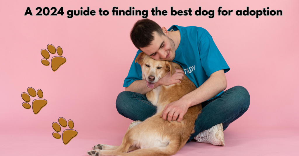 A 2024 guide to finding the best dog for adoption