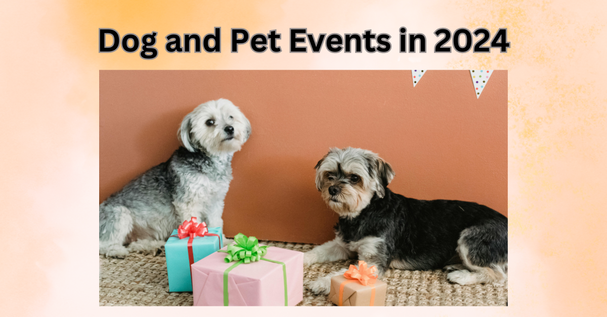 Dog & Pet Events in 2024 (Full Details)