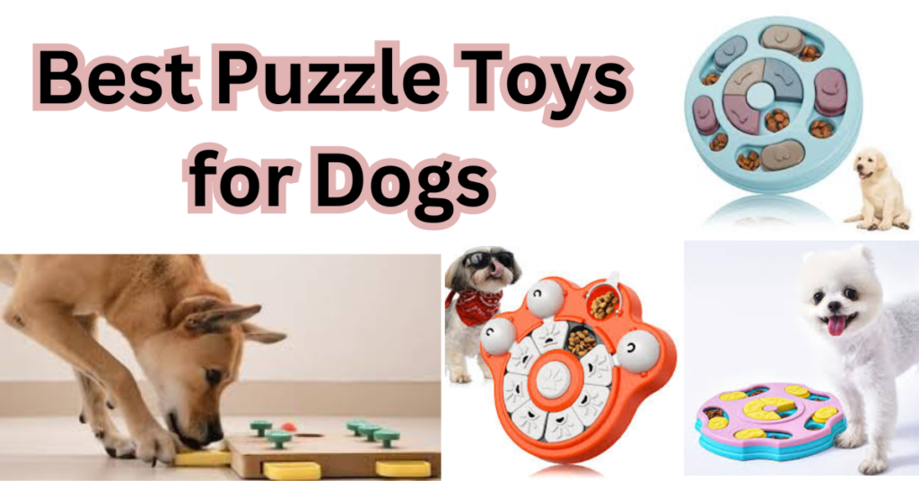 The Best Puzzle Toys for Dogs: Brain Stimulating Toys