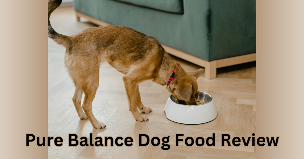 Is pure balance dog food good for your dog's health: {2024 Honest Reviews}