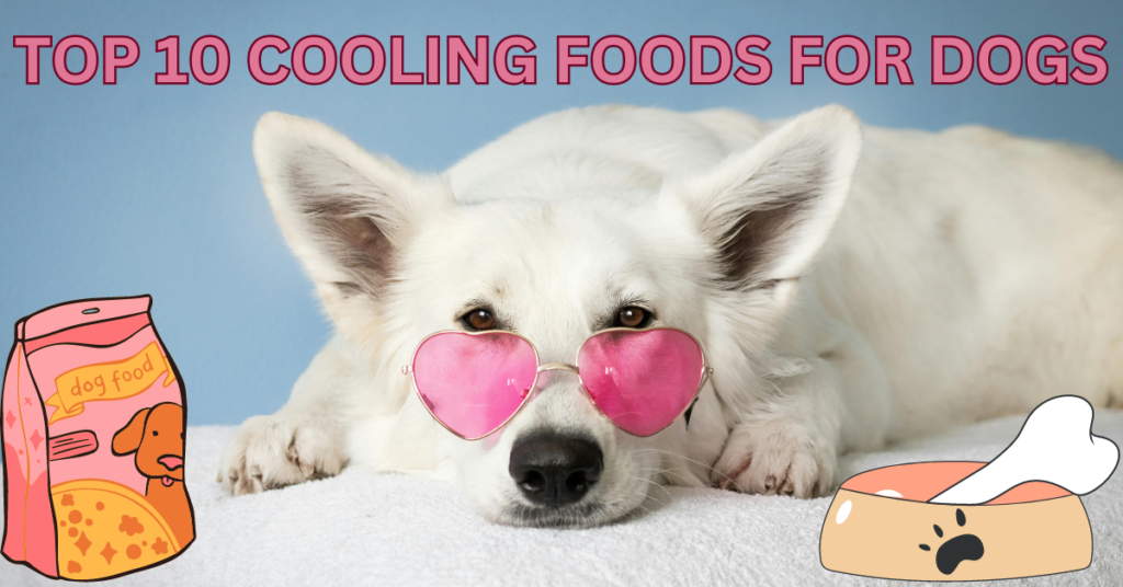 Nutrition diet for dogs in summers 2024:Top 10 cooling foods for dogs