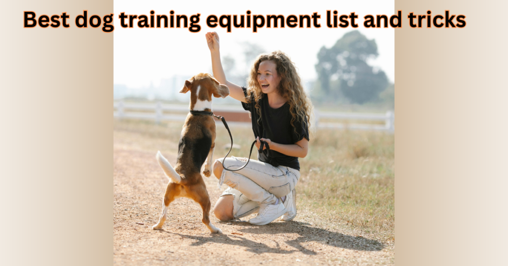 Best dog training equipment list and tricks to train easily: A 2024 Guide