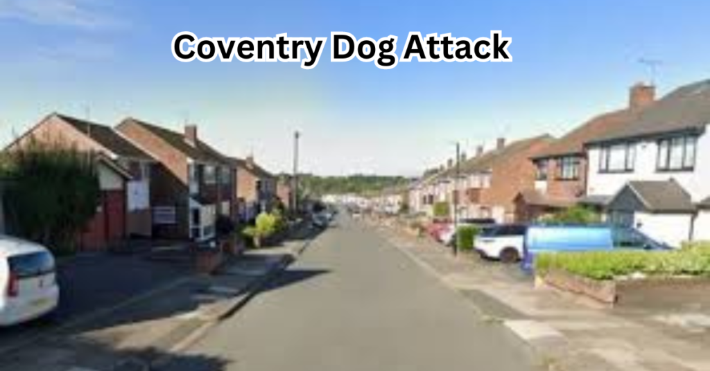 Coventry Dog Attack: Read & Understand The Crucial Aspects of the Incident