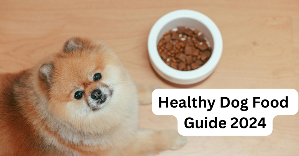 Best health and wellness food to feed your dogs in 2024 (Experts Guide)