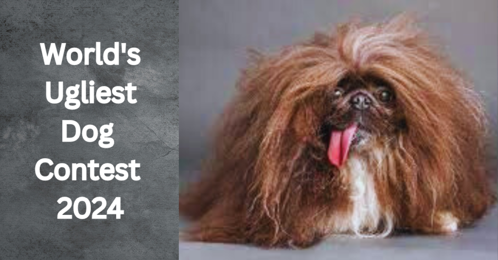 World’s ugliest dog contest 2024: Complete details