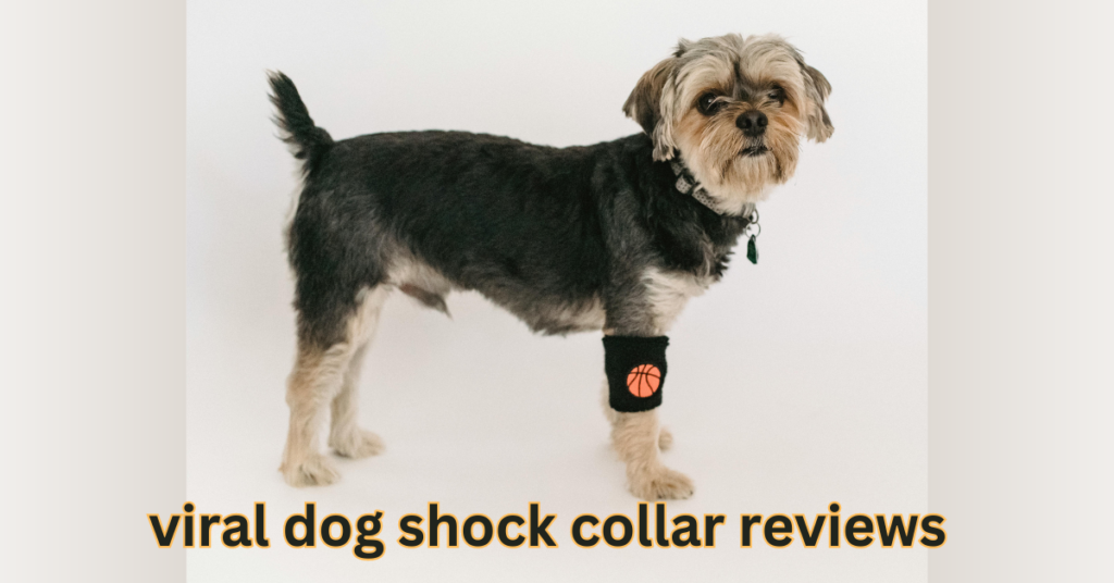 Top 10 most viral dog shock collar reviews by experts