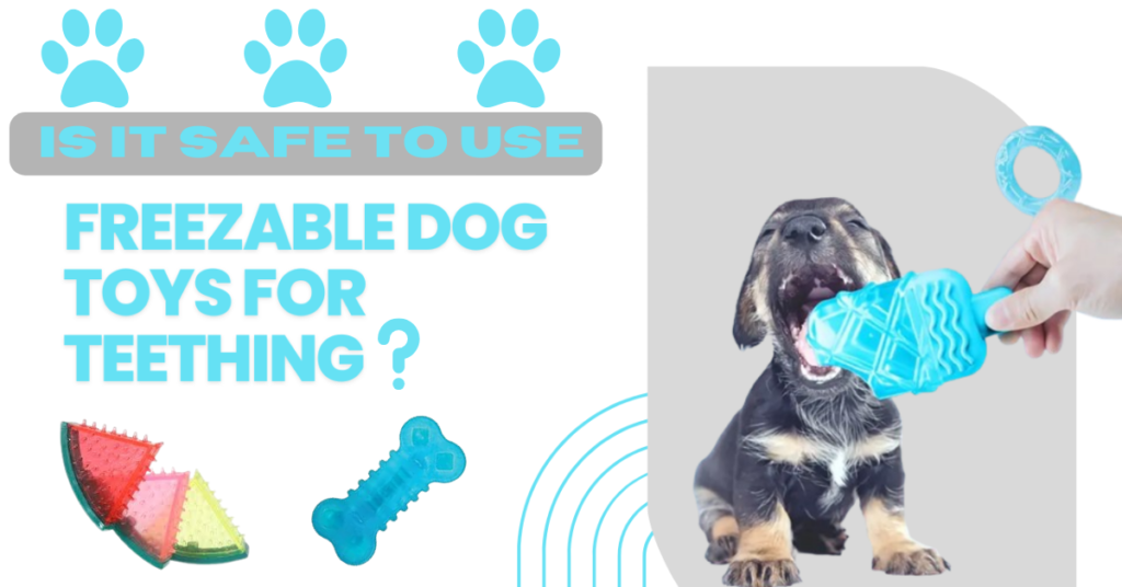 Are freezable dog toys for teething really helpful? Get the facts here