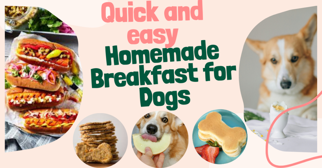 Homemade Breakfast for Dogs: Delicious and Healthy Recipes