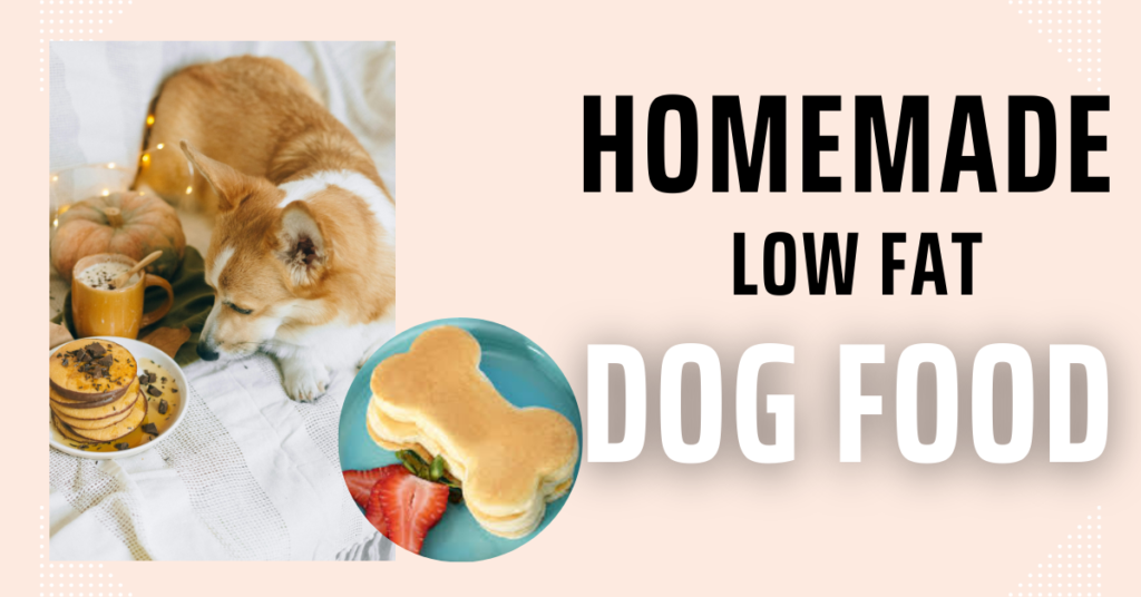 Homemade low fat Dog food