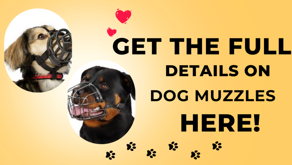 Can a Muzzle Stop a Dog from Barking?Get the Full Details Here