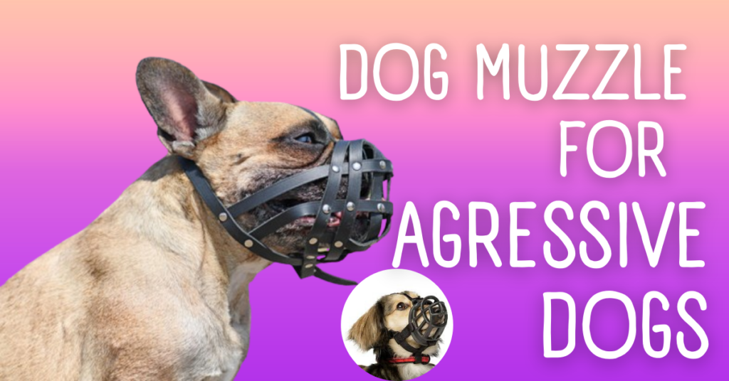 Properly fitted dog muzzle for aggressive dogs preventing bites